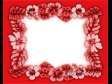 Pacific Hibiscus Flowers Red Alpha 133